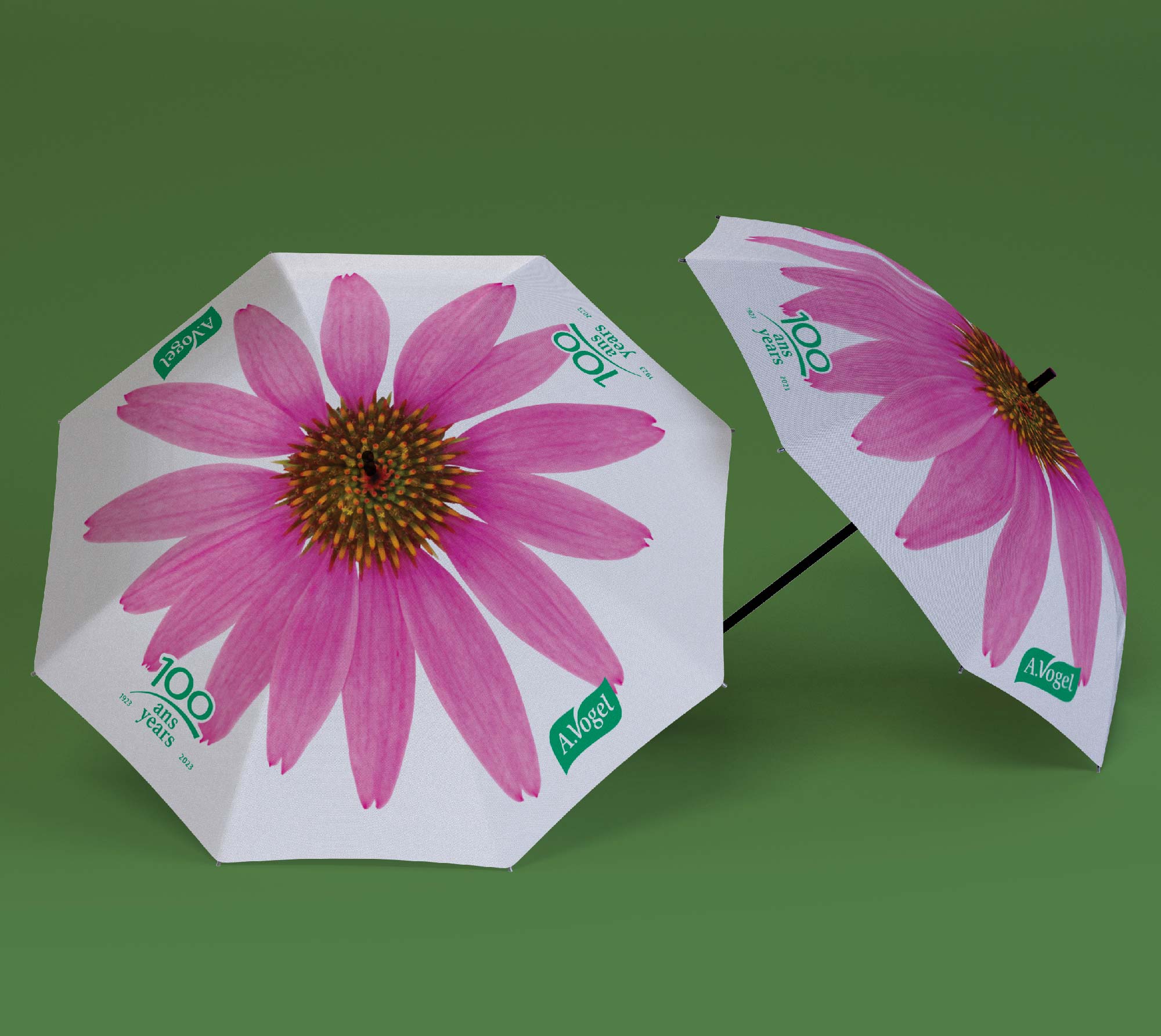 parapluie-echinacea-100ans.jpg
